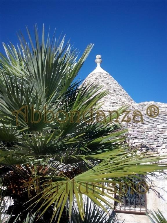 Agriturismo Abbondanza Βίλα Αλμπερομπέλο Εξωτερικό φωτογραφία