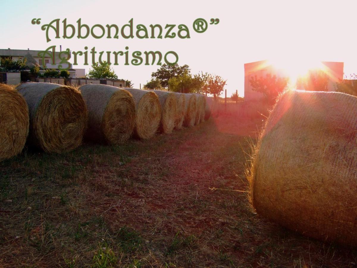 Agriturismo Abbondanza Βίλα Αλμπερομπέλο Εξωτερικό φωτογραφία