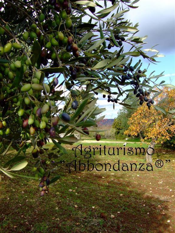 Agriturismo Abbondanza Βίλα Αλμπερομπέλο Εξωτερικό φωτογραφία