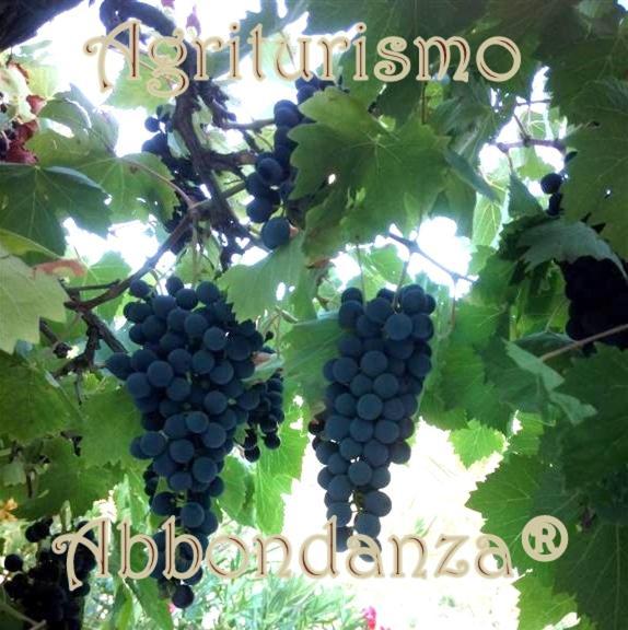 Agriturismo Abbondanza Βίλα Αλμπερομπέλο Εξωτερικό φωτογραφία
